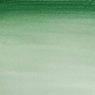 Winsor & Newton Winsor & Newton Cotman Watercolour 8ml Hookers Green Dark