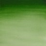 Winsor & Newton Winsor & Newton Cotman Watercolour 8ml Hookers Green Light